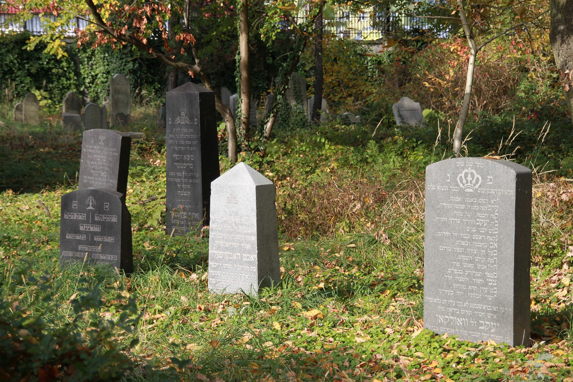 Tombstones - Matzevot | Photo: CIT Oświęcim