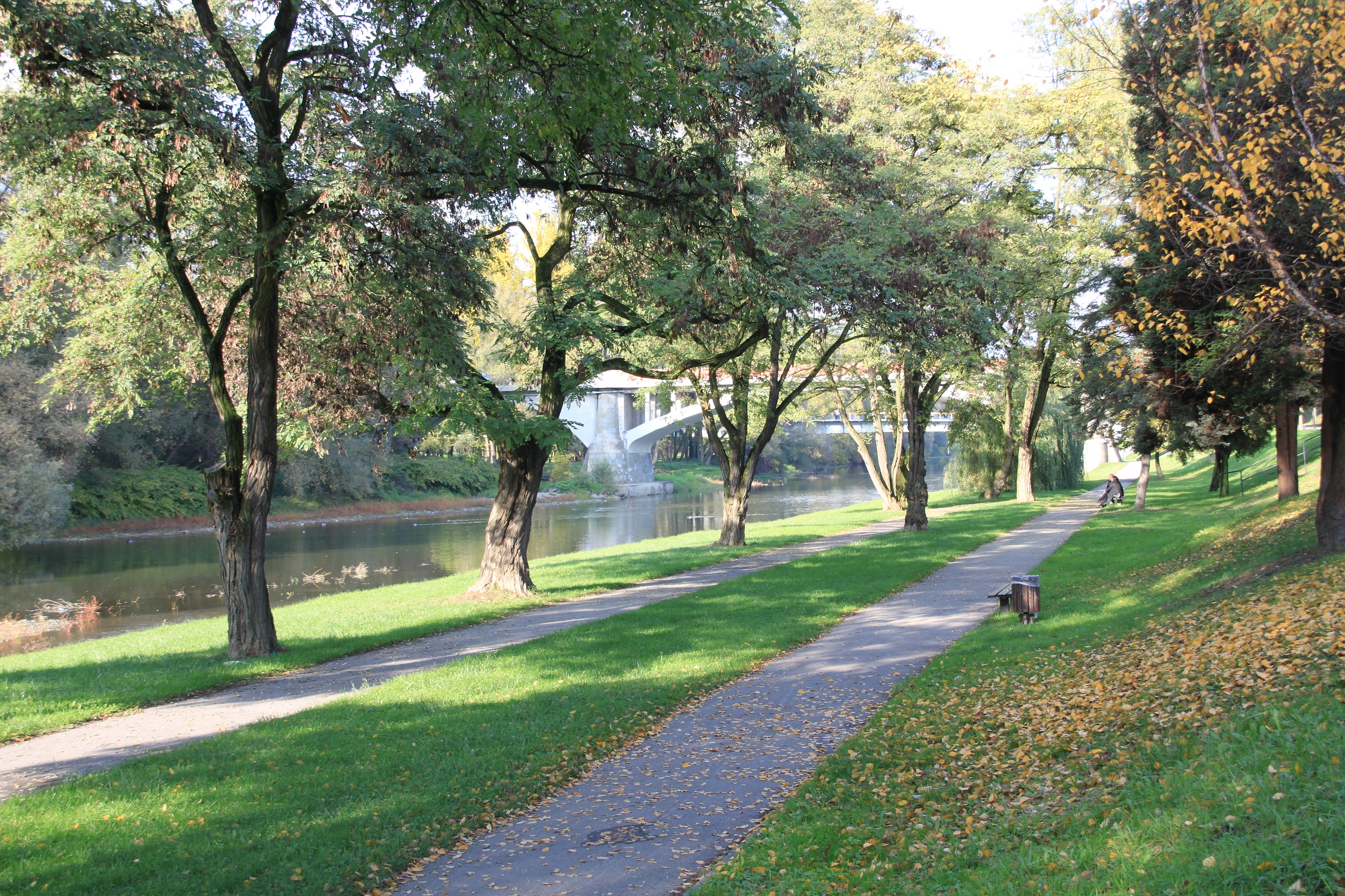 Zdjęcie przedstawia park Bulwary nad rzeką Sołą
